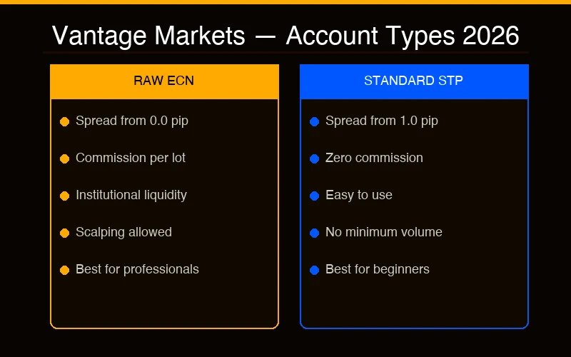 Vantage Markets — Confronto Conto Raw ECN vs Standard STP